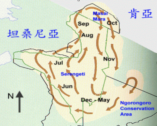 螢幕快照 2019-03-09 下午1.05.32.png